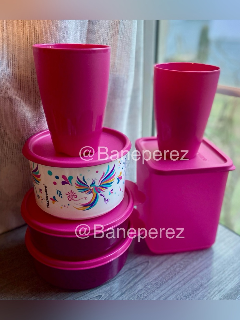 Tupperware Hot Pink Food Container set with 2 cups